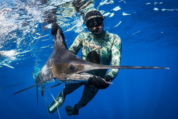 Spearfishing full day charter at Kawau Island