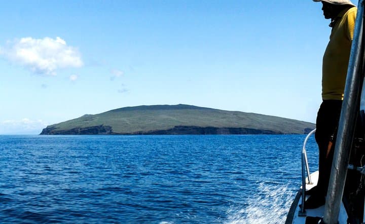 Full-Day Pinzon Island Snorkeling and Fishing  3