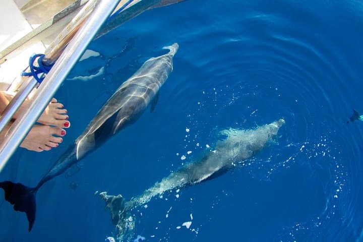 Luxury cruise in Greece to the CYCLADES by sailboat with CHEF 3