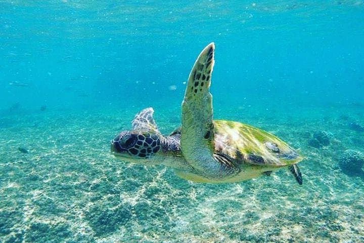 Camping & Snorkelling at Daymaniyat Islands 2