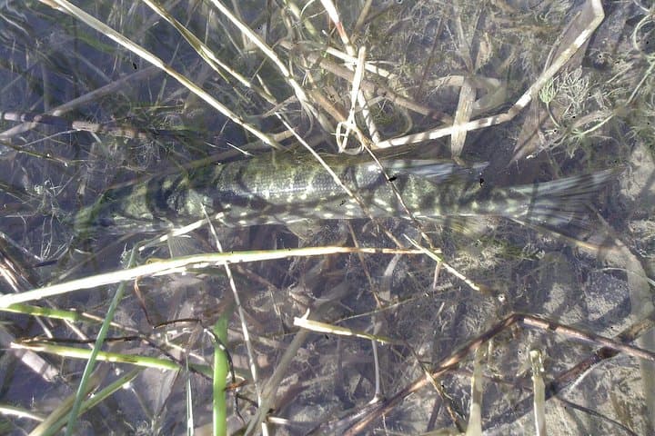 Experience the Thrill of Fishing in Stunning Provence 4