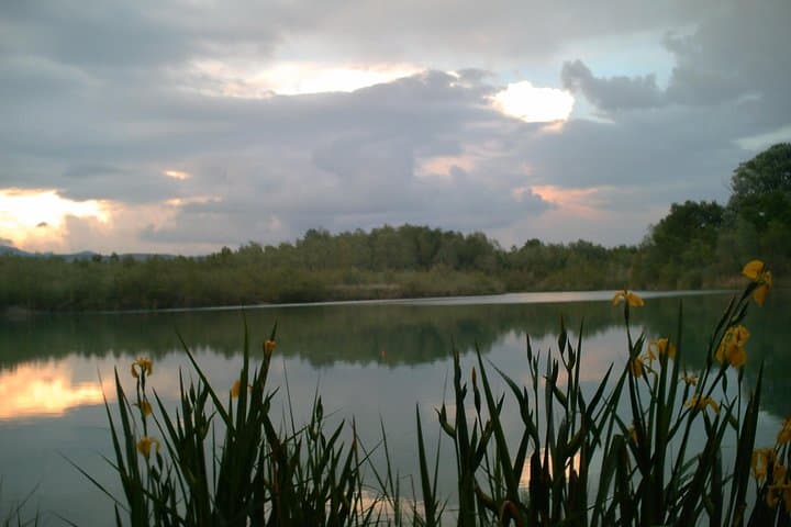 Experience the Thrill of Fishing in Stunning Provence 5