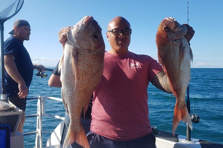 Fishing charter - Hauraki Gulf 4