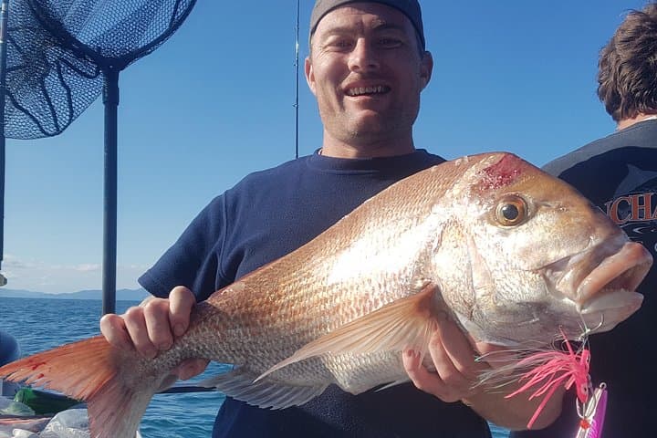 Fishing charter - Hauraki Gulf 5