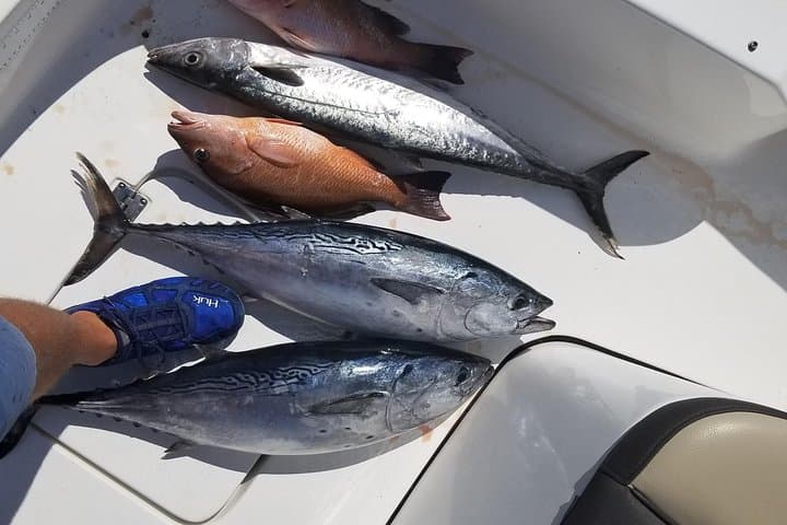 6HR Fishing Charter 3