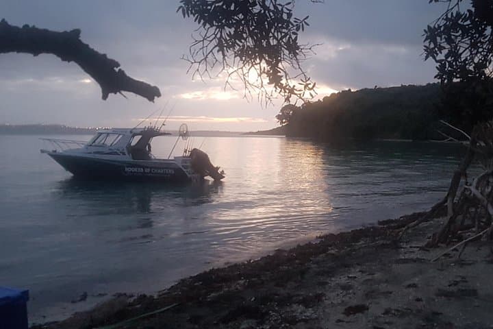 Fishing and Sightseeing Boat Charter 2