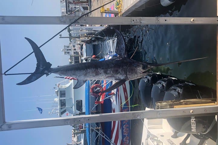 Deep Sea Private Trip on the Deep Obsession  2