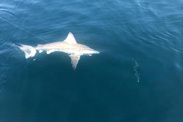 Deep Sea Private Trip on the Deep Obsession  3