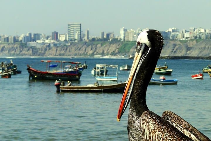 The Fisherman’s Cove Adventure 2