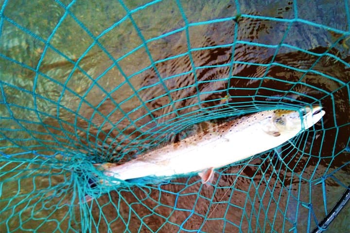Atlantic Salmon & Sea Trout fishing.Connemara.English/French speaking Ghillie 3
