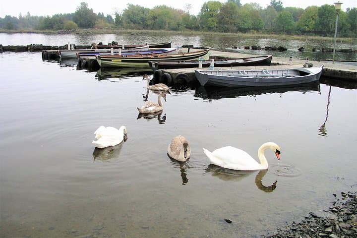 Pike fishing by boat.Lough Corrib,Connemara.English/French speaking Ghillie 5