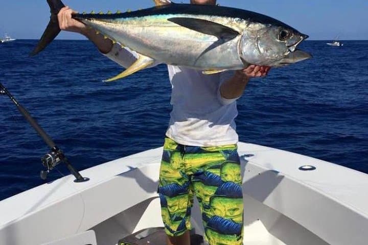 Half day Deep sea/light tackle fishing charters  4