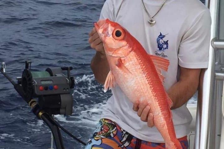 Half day Deep sea/light tackle fishing charters  5