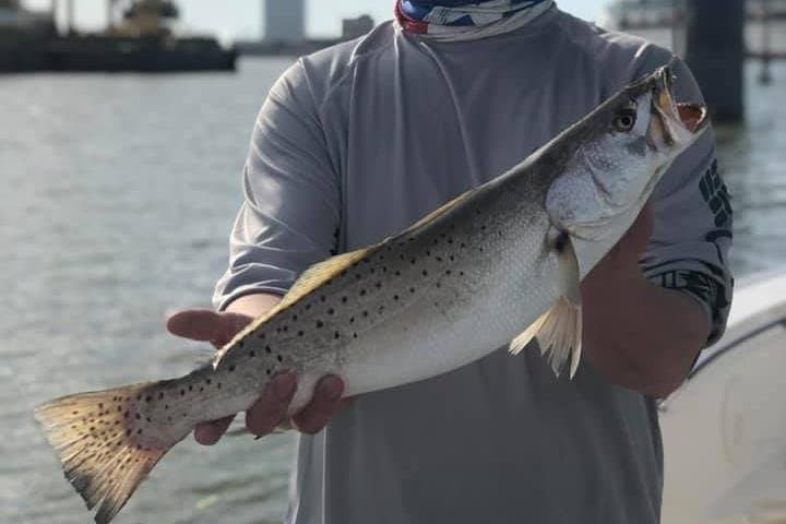 Half-Day Jetty Fishing Trip from Galveston 3