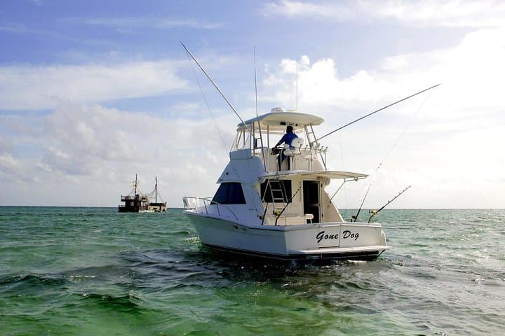 Private Punta Cana Six Hour Fishing Charter 4