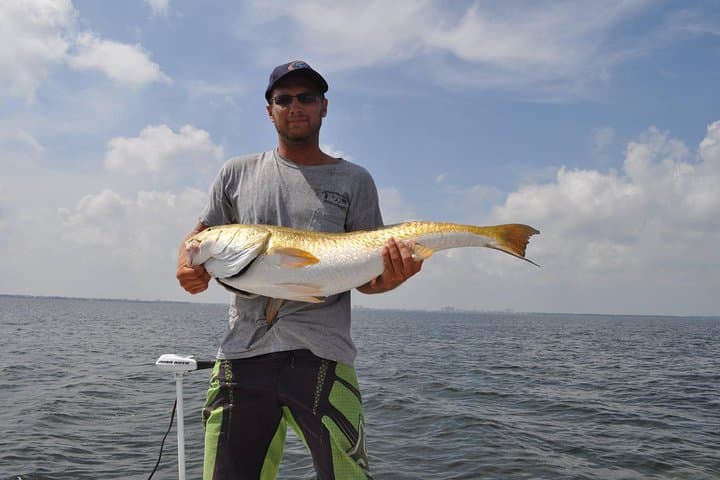 4 hour Fishing Charter with a Tampa Native 3
