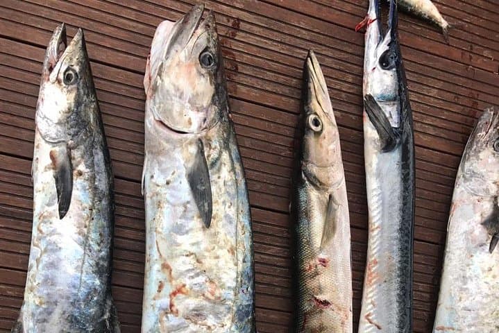 Deep sea big game fishing voyage – Hikkaduwa 4