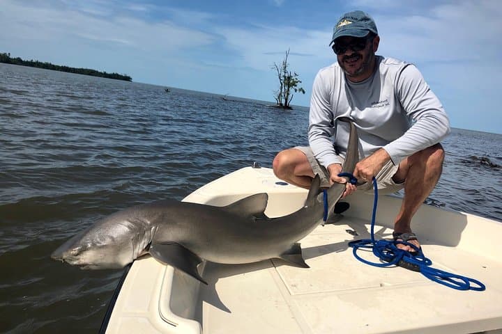 Everglades Fishing 3