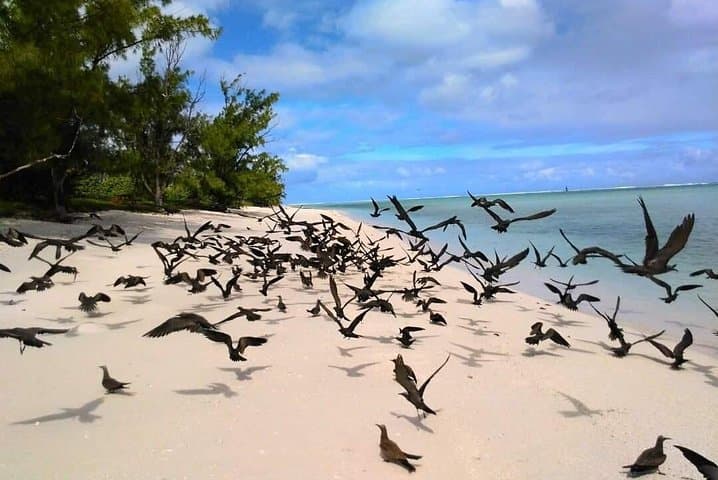 Fishing Trips. Popping, jigging, big game, live bait 4