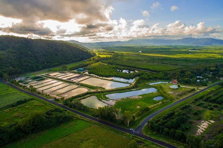 Hook A Barra Fishing Experience 2