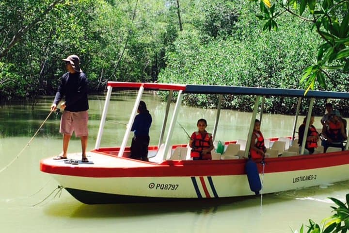 Damas Island Mangrove Fishing Tour from Manuel Antonio 3