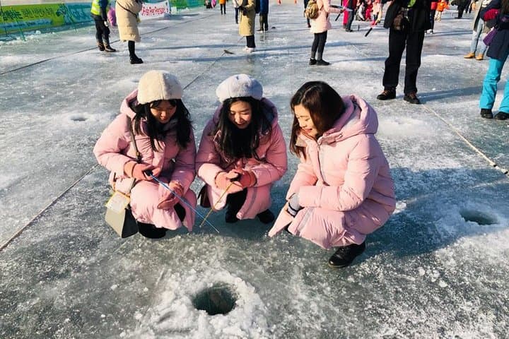 Daemyung Vivaldi Park Resort 2D 1N + Hwacheon Ice-Fishing Festival 3