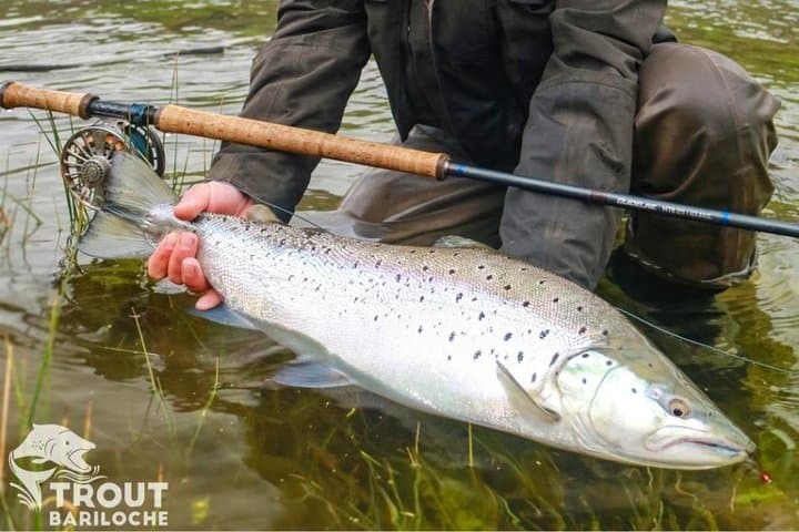 Fly Fishing Trips in Bariloche 4