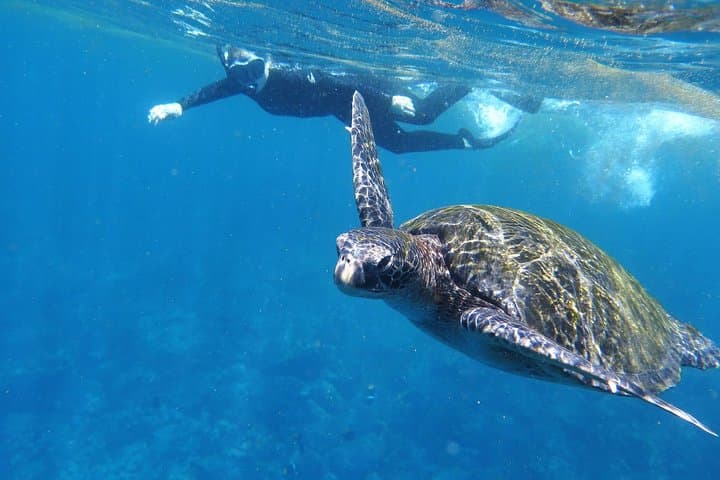 Day Tour to Santa Fe Island and Hidden Beach with snorkeling and fishing 2