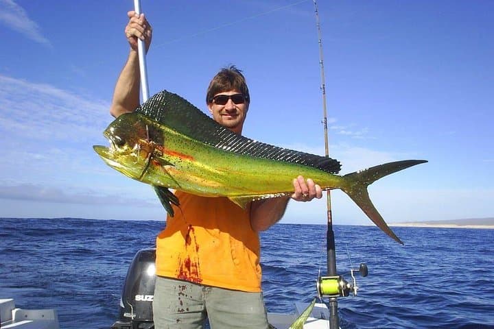 Catch the big one in Cabo! All inclusive fishing! 2
