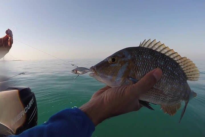 Private Guided Fishing Tour in Kuwait City Bay 2