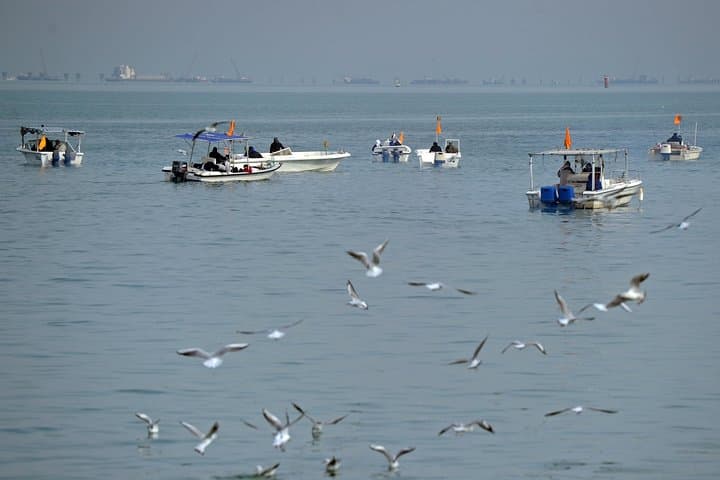 Private Guided Fishing Tour in Kuwait City Bay 3