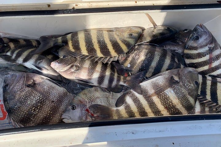 St. Augustine Fishing Charter-23' 5