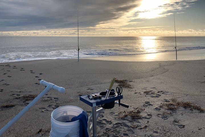 Shark and Fishing Ultimate Combo Beach Fishing Excursion 4 Hrs 5