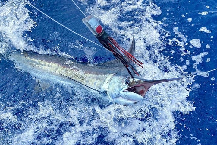 Half Day Afternoon Angler Charter 3