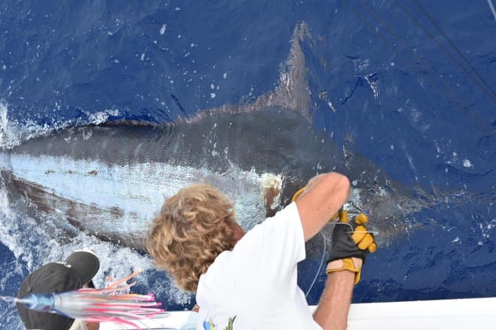 6 Hour Fishing Charter