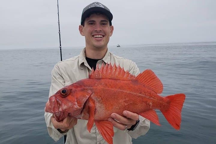 Private Half-Day San Diego Fishing Trip for up to 4 People