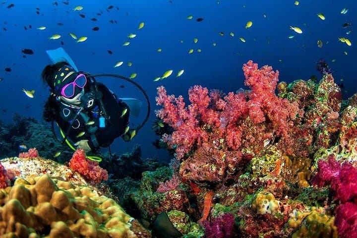 Grand Island Adventure: Diving and Water Sports Thrills 4