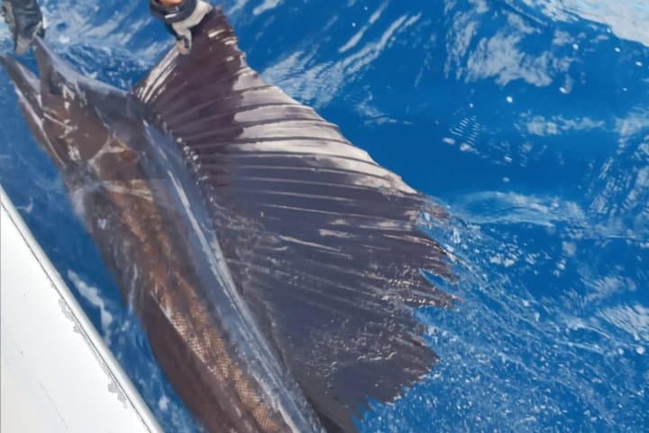 Fishing Charter 8 Hours 4