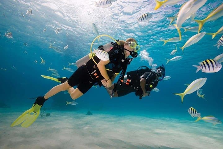 Discover Scuba Diving Experience