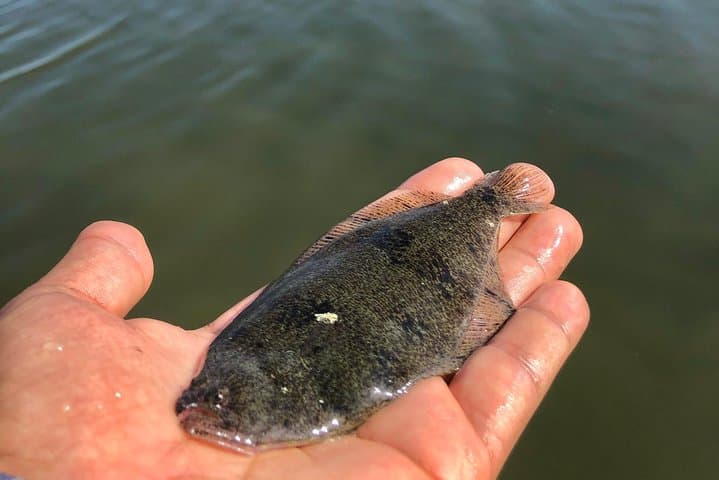 Private Fishing Adventure in the Mangroves 5