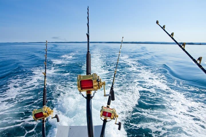 Offshore Fishing - Half Day (Trolling)