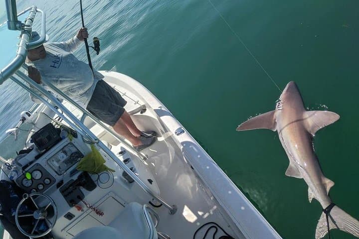 Fishing Charters - Fort Myers Beach / Naples 4