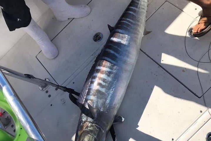  Guided 8 HR Full Day Fishing / Snorkel Private Charter Trip 40' Mega Bite  5