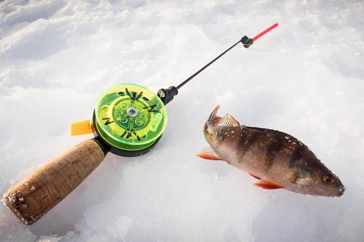 Snowmobile Safari with Ice Fishing Experience 3