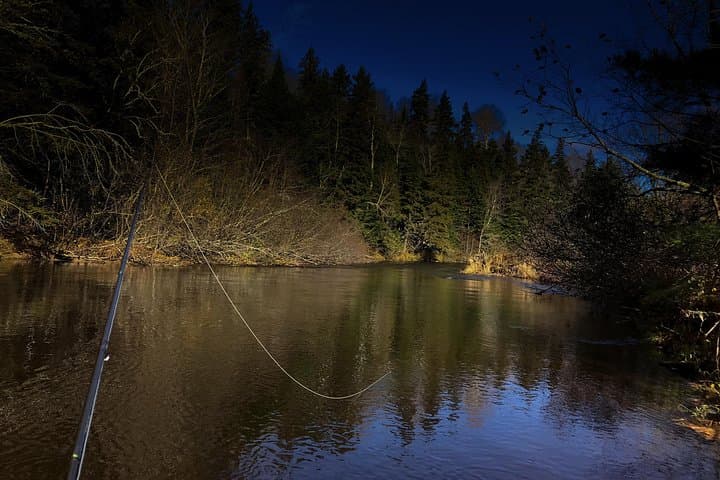 Fly Fishing Guided Experiences 2