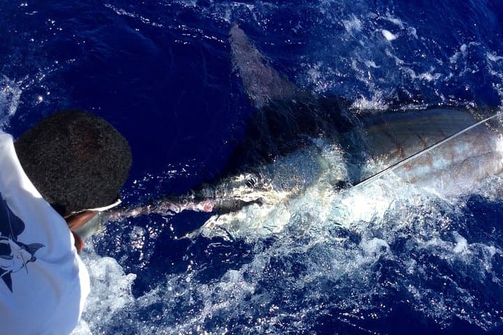 Big Game Fishing Mauritius Black River 3