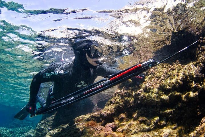 Spearfishing full day charter at Kawau Island 2