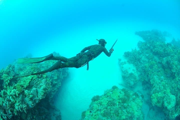 Spearfishing full day charter at Kawau Island 3