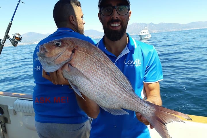 Exciting 4-Hour Bottom Fishing Adventure from Marbella 2