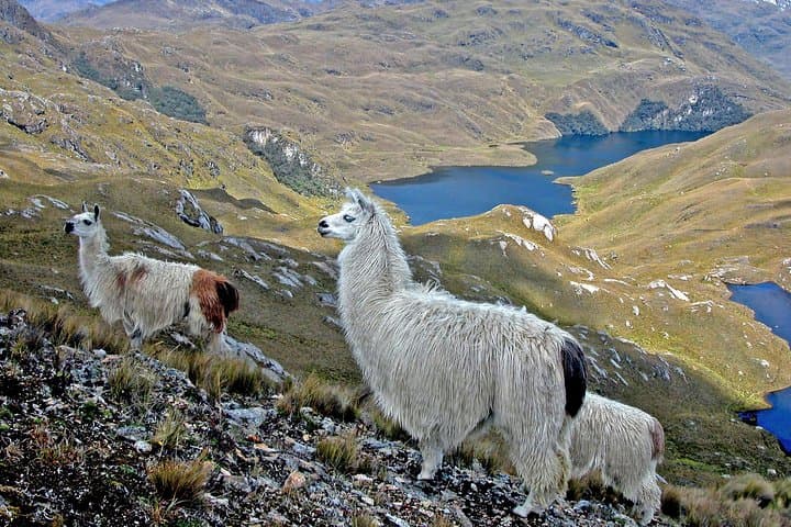 Private Full Day Fishing Tour from Cuenca 5
